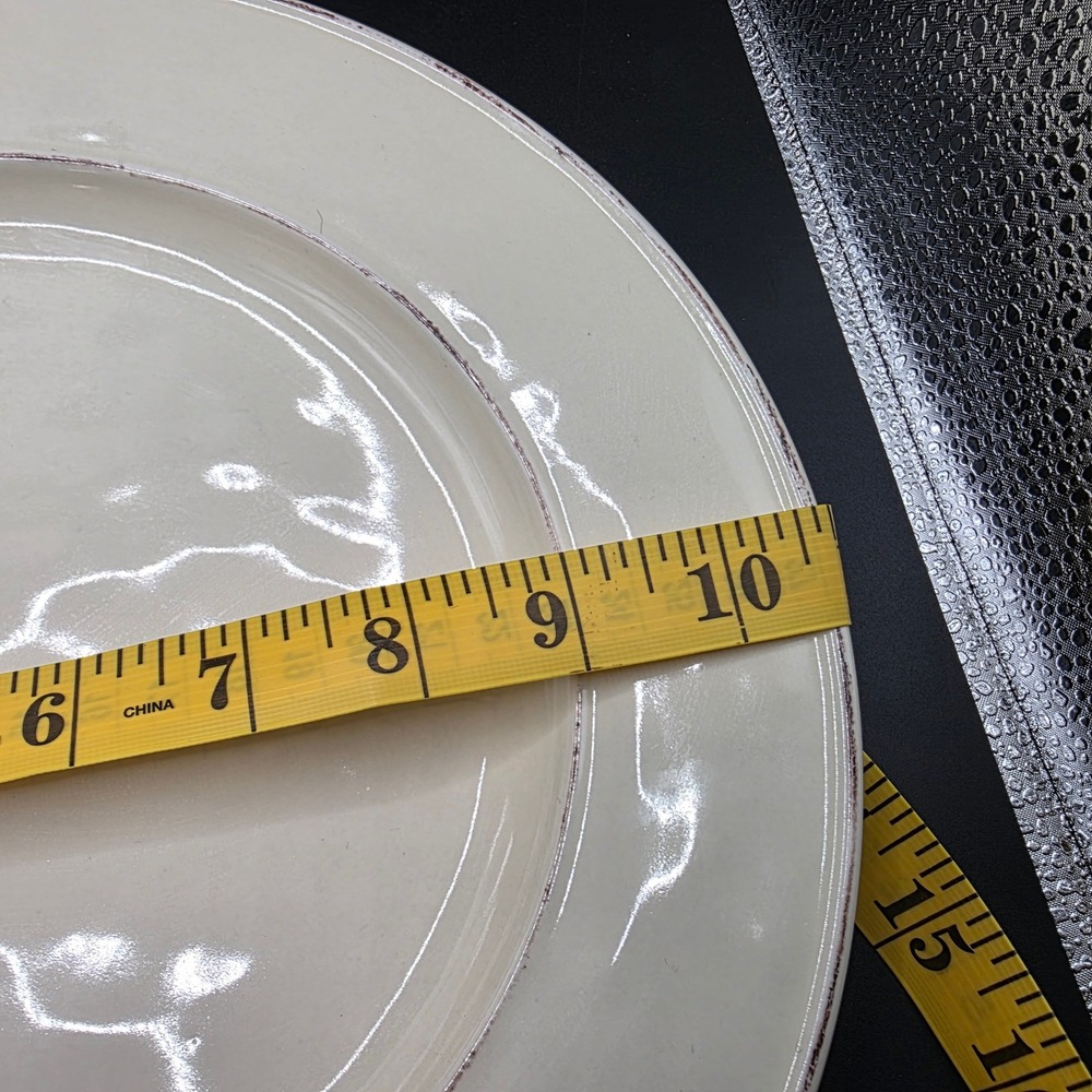 Pier 1 Imports Martillo Crème Brulee Dinner Plates Lot 2 Stoneware‎ 10.5" Rustic - Picture 7 of 8